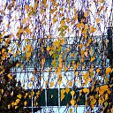 ���� �����, �����, 64 ���� - ��������� 30 ������ 2013 � ������ ��Ψ�