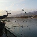 ���� �������, �������, 65 ��� - ��������� 19 ������ 2014 � ������ ���� ����������