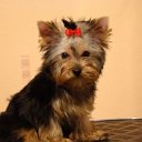 ���� Nicol, ������ - ��������� 27 �������� 2013 � ������ ������ ������ � ���� ��������.������� ^^�