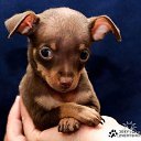 ���� ���, ������������, 30 ��� - ��������� 2 �������� 2013 � ������ ���� ����������