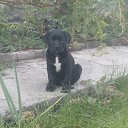 ���� ������, �������������� - ��������� 21 ������� 2013 � ������ ����Ի