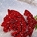 ���� �����, ������ ���, 57 ��� - ��������� 29 ������ 2013 � ������ �������