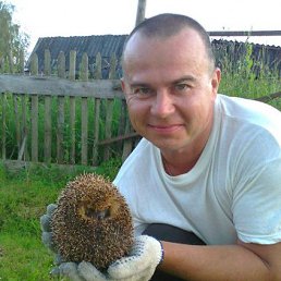 �������, �����-���������, 53 ����