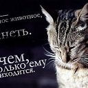 ���� ---Vremya I Steklo ---, ���������, 52 ���� - ��������� 21 ������ 2013 � ������ ���� ����������