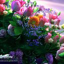 ���� ���, ������, 40 ��� - ��������� 19 ������� 2014 � ������ ���� ����������