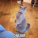 ���� �����, �����-���������, 48 ��� - ��������� 20 ������� 2013