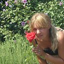 ���� ������, ���������� ���� - ��������� 8 ������� 2013 � ������ ���� ����������