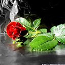 ���� �����, ������ ���, 57 ��� - ��������� 29 ������ 2013 � ������ �������