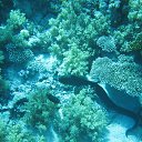 ���� �������, �����-���������, 54 ���� - ��������� 28 ������� 2013 � ������ ���� ����������