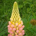 ���� �������, ������� - ��������� 28 ������� 2014 � ������ ������ ��������