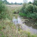 ���� ���, ������ - ��������� 16 �������� 2013 � ������ ���� ����������