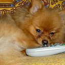 ���� �������, ������, 46 ��� - ��������� 1 ������� 2013 � ������ ���� ����������