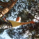 ���� ������� �������, ��������, 38 ��� - ��������� 24 �������� 2013