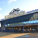 ���� ����, ����, 48 ��� - ��������� 25 ������� 2013 � ������ ���� ����������