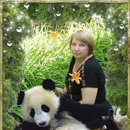 ���� ��������, �����, 61 ��� - ��������� 17 ������ 2013