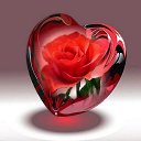  .,  -  24  2014      )