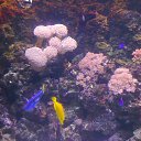 ���� �������, ������, 52 ���� - ��������� 27 ������� 2013 � ������ ���� ����������