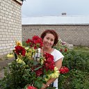 ���� ������� �������������, ����������� - ��������� 21 �������� 2013 � ������ ���� ����������