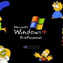 ���� �������, ������, 31 ��� - ��������� 8 ������� 2013