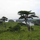 ���� ������� ����������� �� ���������� � �������, ����� � ������, ��� ���������� ���� �� ������ ���������... �� ������� ������������