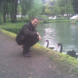 ���� ��������, ���������, 43 ���� - ��������� 28 �������� 2013