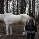 ���� �����, �����������, 44 ���� - ��������� 1 ������� 2013