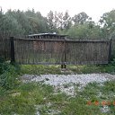 ���� ��� ������� � ����� �������� - ����� 2 �� ������� �����2013�