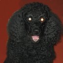 ��� ����� �������.������: ����������� ������. �� ������ ��� 14 ���. ���� � 2011 ���� � �������� 16 ���.