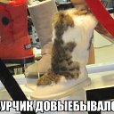 ���� ����, ��������� - ��������� 1 ������� 2014 � ������ ������ ��������