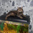 ���� ��������, ������, 48 ��� - ��������� 25 ������� 2013 � ������ ���� ����������