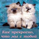 ����� ������ �� �������
� ��������� ���� �� ������.
� � ���� ����� �� ��������,
�����, ��� ������� ���������.

��� �������� ��� �������,
��� ����������� � ��� �����,
� �������� ����� � ������,
�� ������ ��������� � ������.

��� ������ ���� �����,
� ������ ��� ��� �������,
�� ������, ��������� �����,
��� ������ � ����� �����.

� ���� �� ����� �� ������,
����������, ���� �������,
������ ���� ���� - �����,
�� �� ��������� ��������. �� ������� ������ ��������