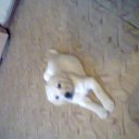 ���� �����, ���������, 50 ��� - ��������� 15 ������ 2014 � ������ ���� ����������