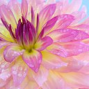 ���� ������, ��������� - ��������� 26 ������ 2014 � ������ ������ ��������