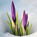 � ������ ���� �����! ����� ������ ���� ����� ����������! �� ������� ���� ����������