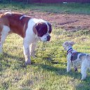 ���� ������, ������ - ��������� 19 ������� 2013 � ������ ���� ����������