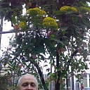 ���� Aleksej, �������, 63 ���� - ��������� 1 �������� 2013