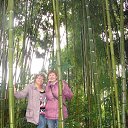 ���� �������, ���������, 69 ��� - ��������� 22 ������ 2013 � ������ ���� ����������