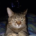 ���� ������, �������, 52 ���� - ��������� 27 ������� 2013 � ������ ������ ��������