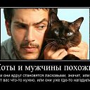  Apologize, , 57  -  13  2013   