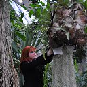 ���� ������, �����, 57 ��� - ��������� 9 ������� 2014 � ������ ���� ����������