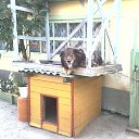 ���� �������� ���������, ����, 83 ���� - ��������� 7 ������� 2013 � ������ ���� ����������