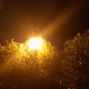 ���� Marina, �����-��������� - ��������� 21 ������ 2013 � ������ �������� ������