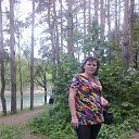 ���� ����, ���������, 42 ���� - ��������� 1 ������ 2013 � ������ ���� ����������