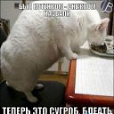 ���� ����, ������, 54 ���� - ��������� 31 ������� 2013 � ������ �������������