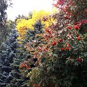 ���� �����, �����, 64 ���� - ��������� 30 ������ 2013 � ������ ��Ψ�