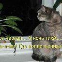 ���� �����, ������� - ��������� 15 ������� 2014 � ������ ������ ��������