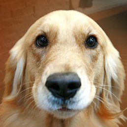 ���� Kuroshiro, ������ - ��������� 18 ������ 2014