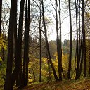 ���� ����, �����-��������� - ��������� 7 �������� 2013