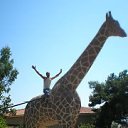 ���� Roman, ������������, 46 ��� - ��������� 16 ������� 2014