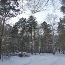  ,  -  5  2014    2014